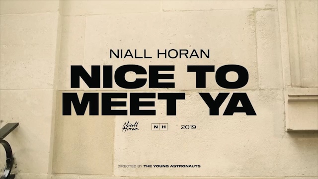 Niall Horan - Nice To Meet Ya
